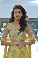 Pranitha at Hello Guru Prema Kosame Movie Success Meet